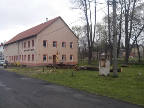 kácení II.